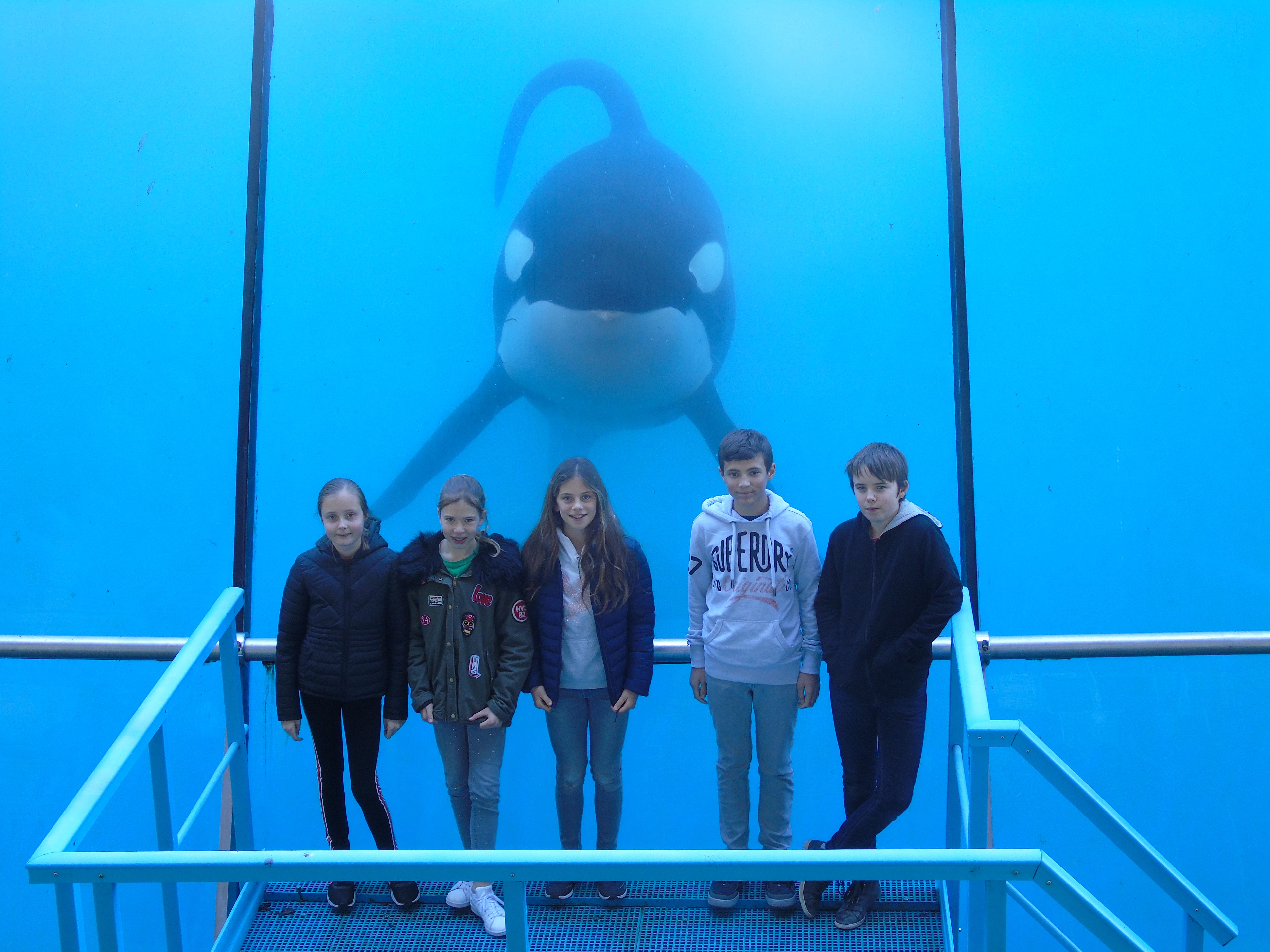 Marineland 2019